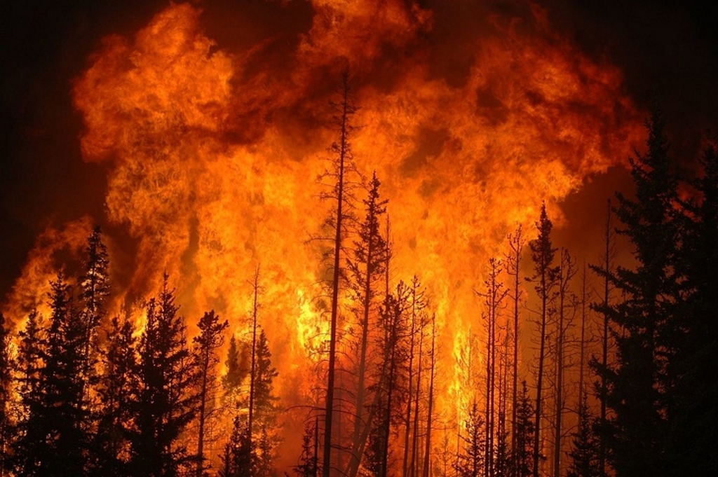 Πυρκαγιές: Συνεχείς αναζωπυρώσεις στην Ηλεία – Σε κατάσταση έκτακτης ανάγκης τέσσερις δημοτικές ενότητες