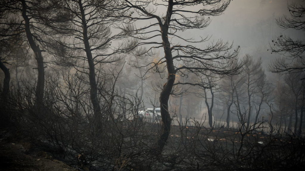 Εύβοια: Θλιβερός ο πρώτος απολογισμός της πυρκαγιάς