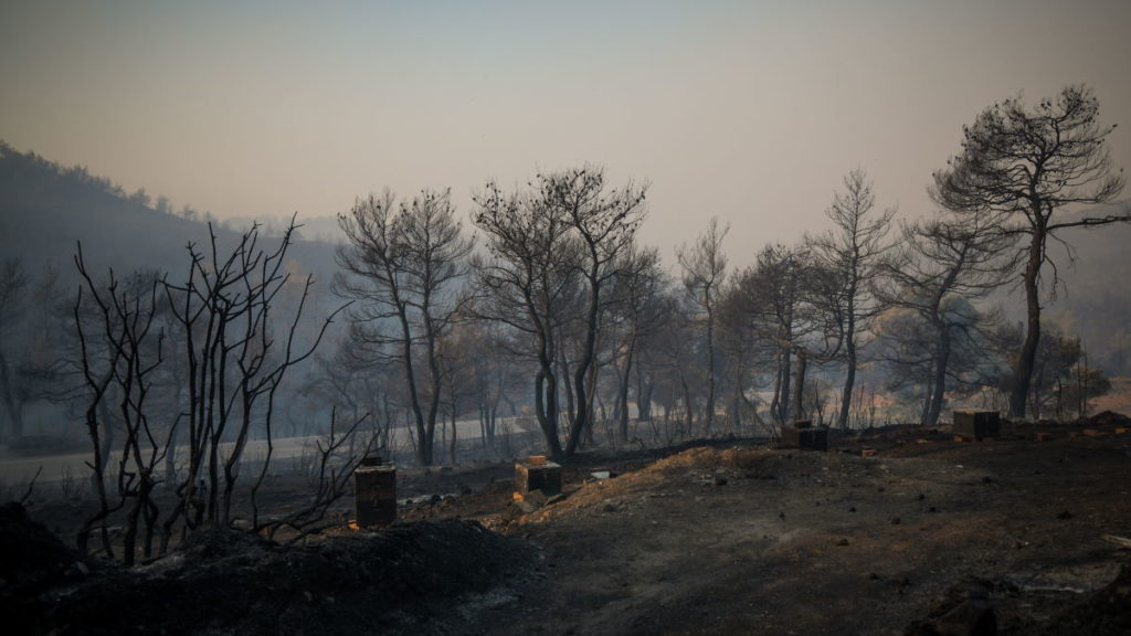 Εύβοια: Σώθηκαν 4 χωριά, μεγάλη η οικολογική καταστροφή