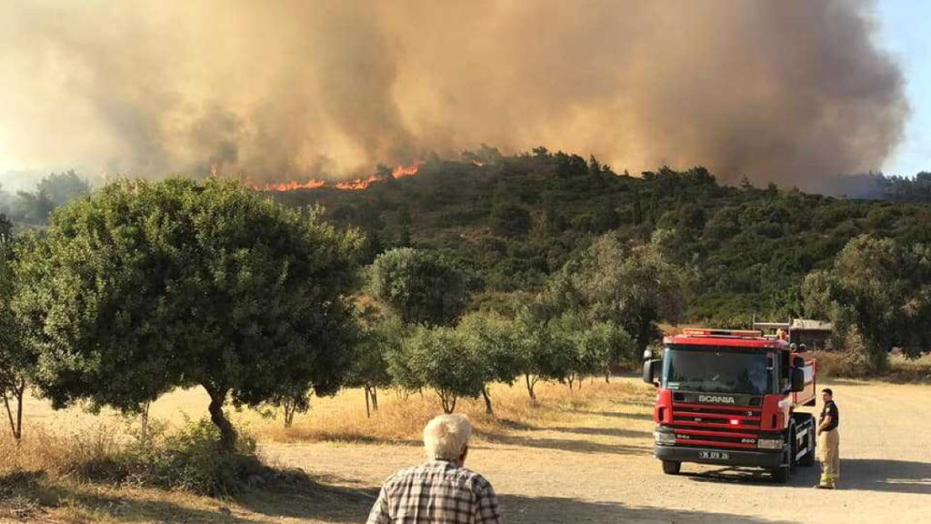 Τουρκία: Μεγάλες δασικές πυρκαγιές πλήττουν τη Σμύρνη
