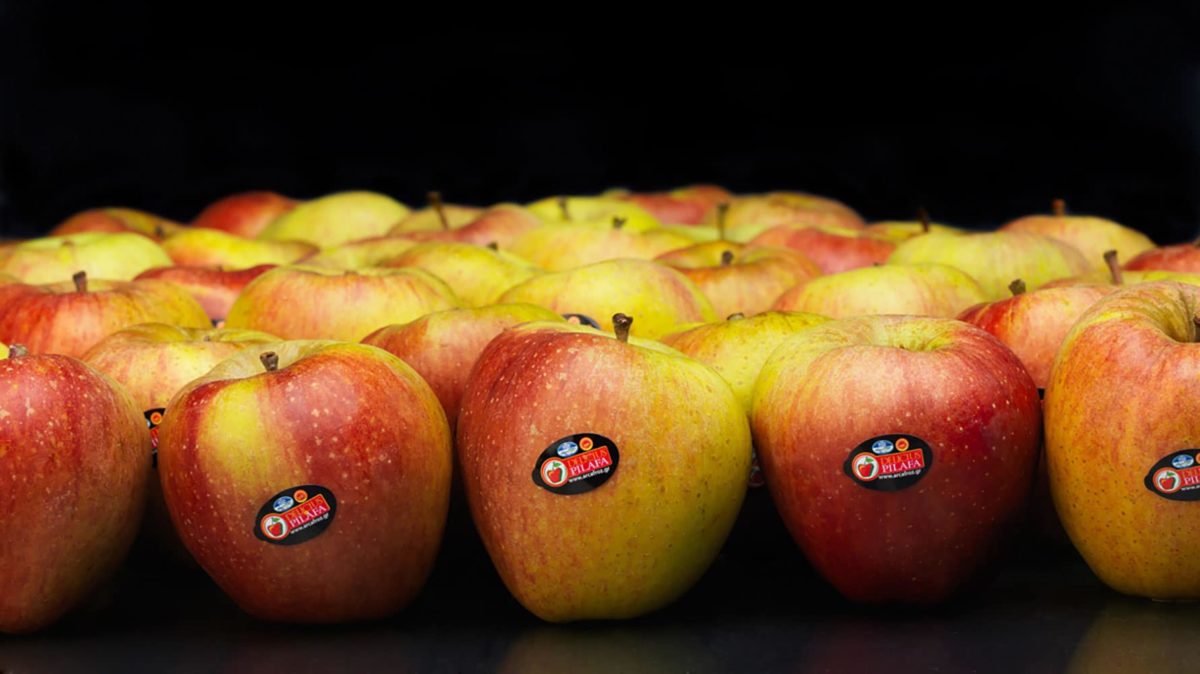 Ιδιαίτερη ποικιλία τα Μήλα Πιλαφά - Photo: arcafroz.gr