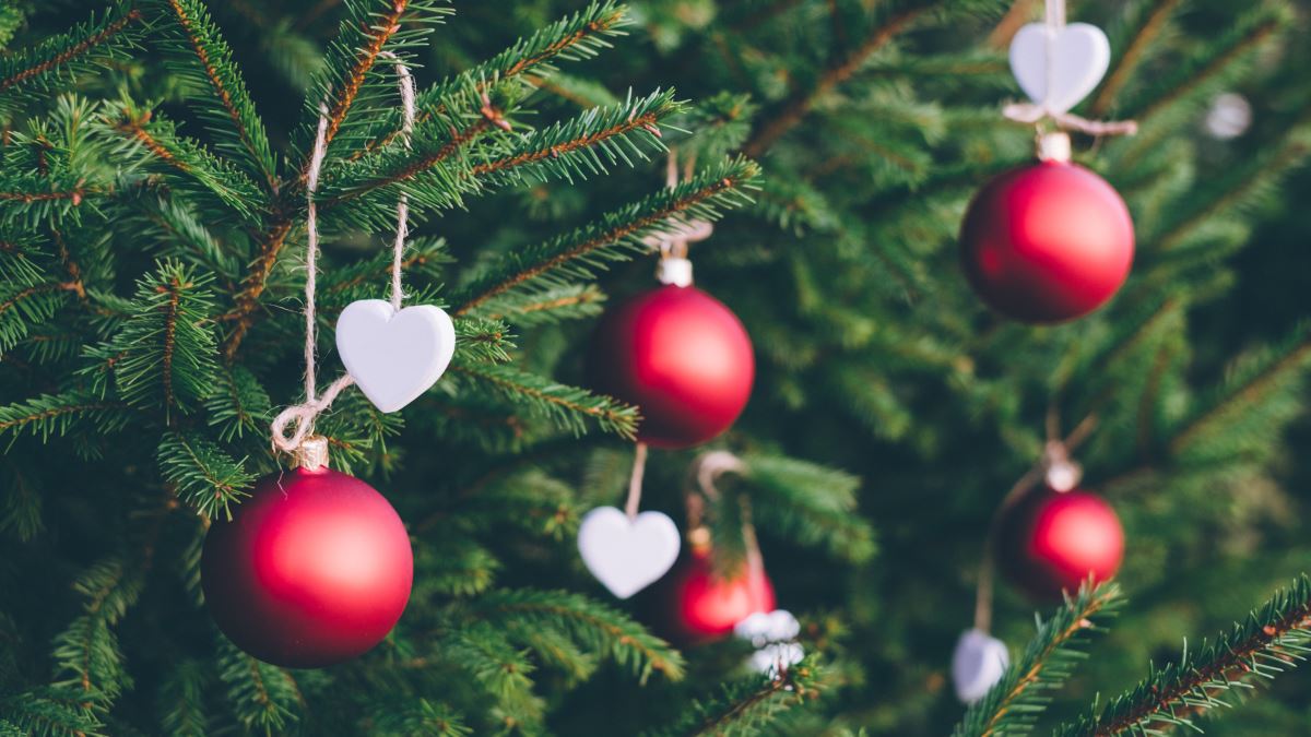 Στον Ταξιάρχη Χαλκιδικής η φωταγώγηση του πρώτου χριστουγεννιάτικου δέντρου στην Ελλάδα