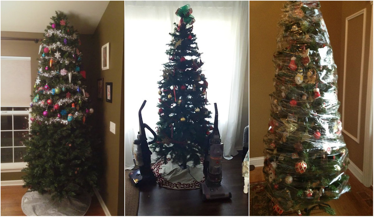 Δείτε τι σκαρφίζονται όσοι έχουν κατοικίδια για να προστατέψουν το χριστουγεννιάτικο δέντρο