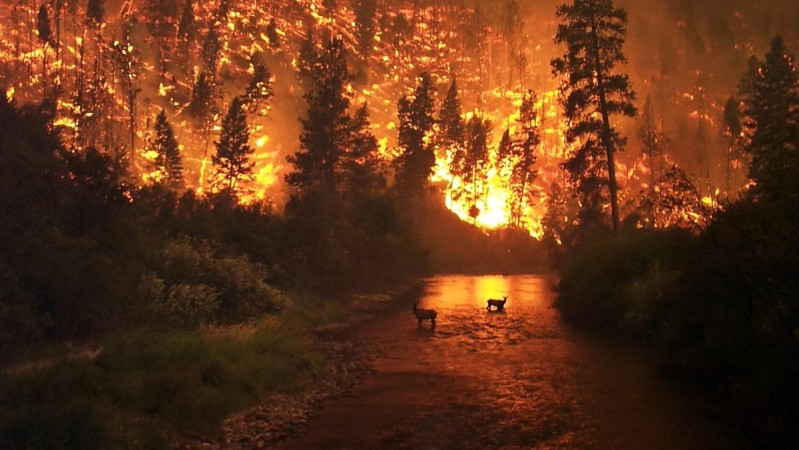 Φωτιά στην Καλιφόρνια: 250.000 εγκαταλείπουν τα σπίτια τους – 9 νεκροί