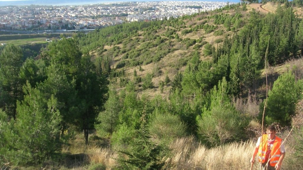 Θεσσαλονίκη: Απαγόρευση κυκλοφορίας από σήμερα μέχρι την Τρίτη στο δάσος Σέιχ Σου