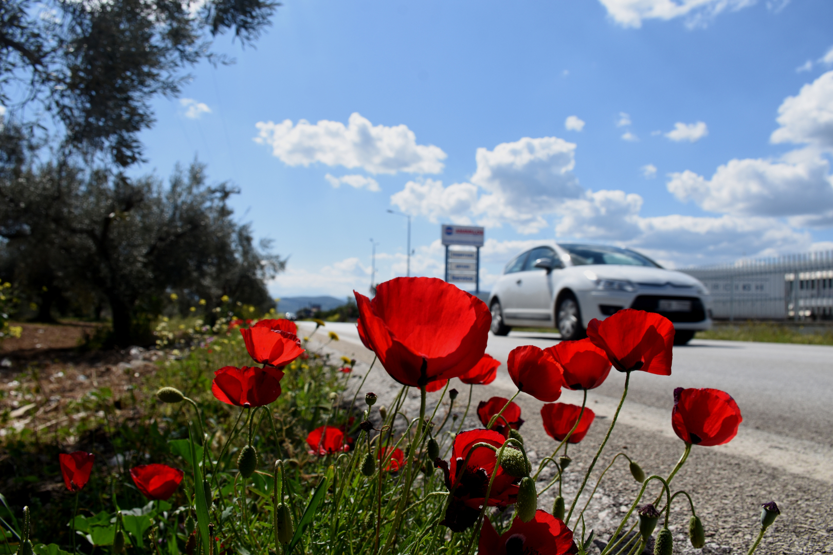 Κορονοϊός: Έφερε σημαντική μείωση της ατμοσφαιρικής ρύπανσης στην Αθήνα