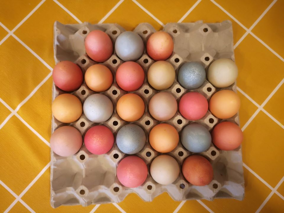 Σωτήρης Κοντιζάς: Μας αποκαλύπτει τα μυστικά του για φυσικά βαμμένα αυγά