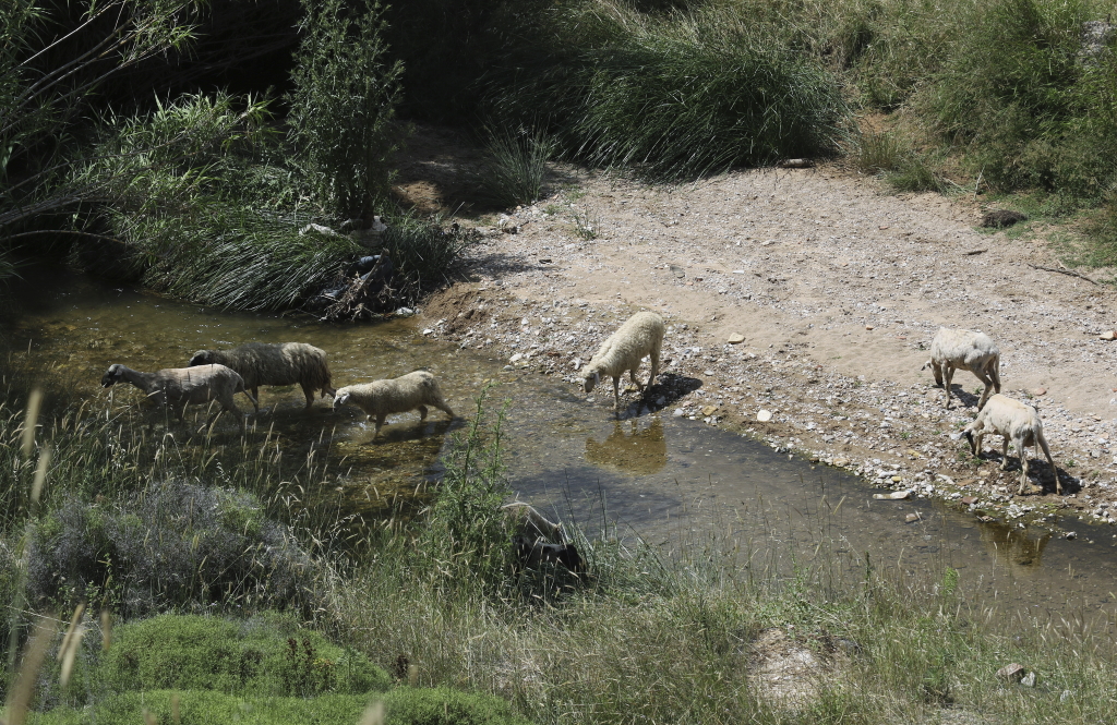 Και όμως, αυτή είναι εικόνα από τον… Κηφισό!