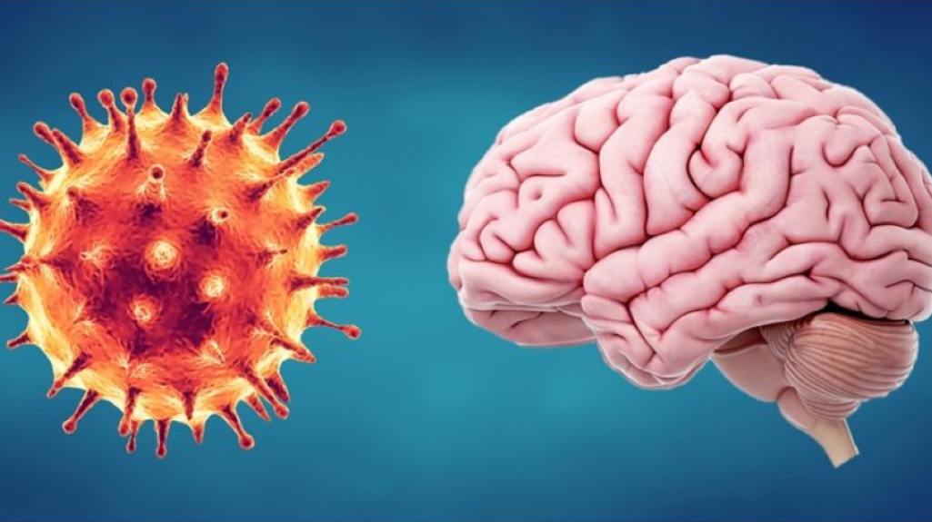 Έρευνα: Ο Covid-19 μπορεί να βλάψει τον εγκέφαλο με νευροψυχιατρικές επιπλοκές