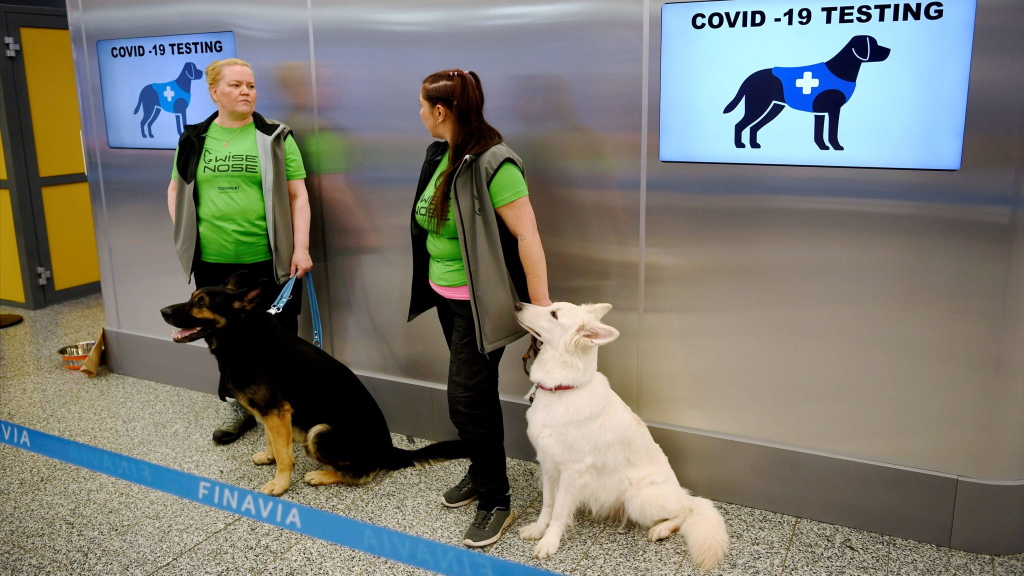 Φινλανδία: Έβαλαν ειδικά εκπαιδευμένους σκύλους στο αεροδρόμιο για να μυρίζουν τον κορονοϊό