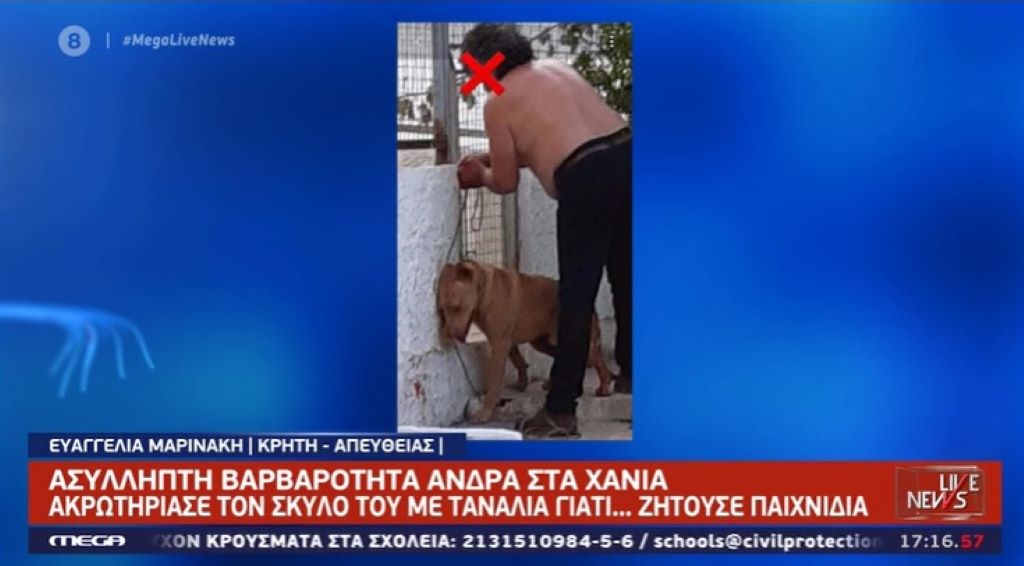 Ασύλληπτη βαρβαρότητα: Άνδρας στα Χανιά ακρωτηρίασε τον σκύλο του με τανάλια