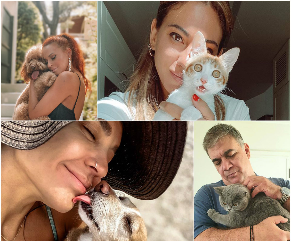 Παγκόσμια Ημέρα Ζώων: Οι Έλληνες celebrities γιορτάζουν τα χαριτωμένα φιλαράκια τους!