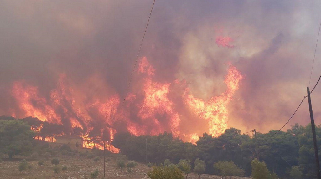 Καμένη γη η περιοχή πάνω από το «Ναυάγιο» στη Ζάκυνθο