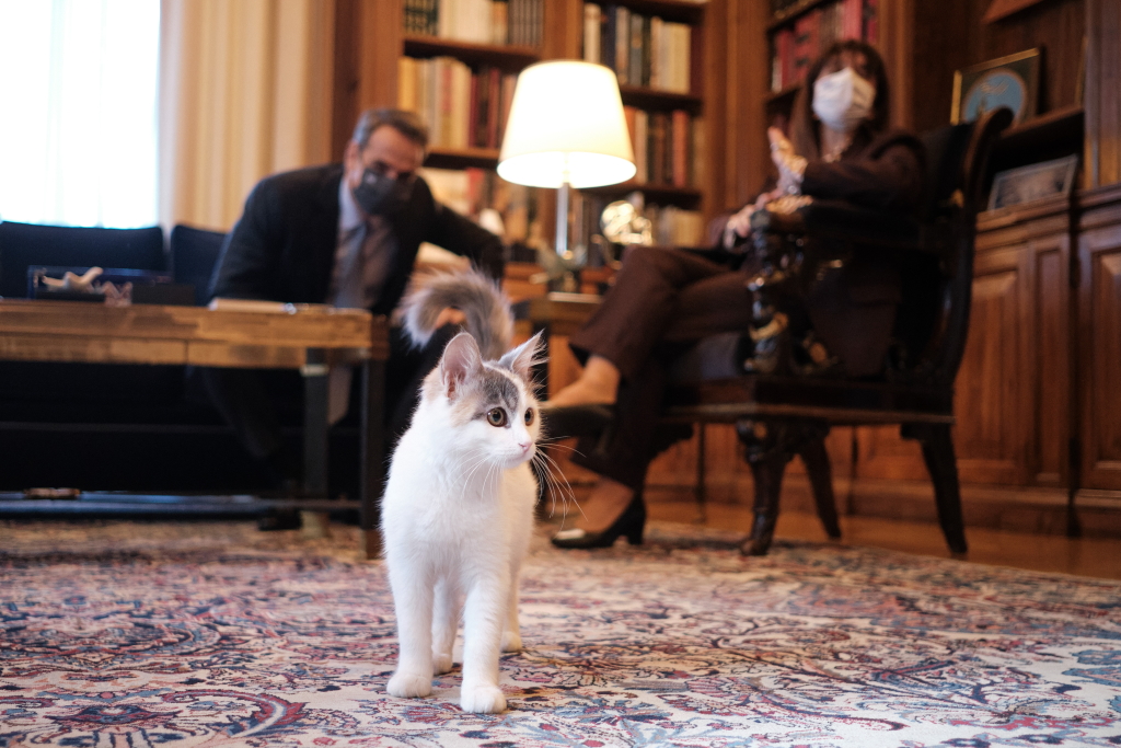 Η γάτα της Προέδρου έκλεψε την παράσταση από τον Κυριάκο Μητσοτάκη!