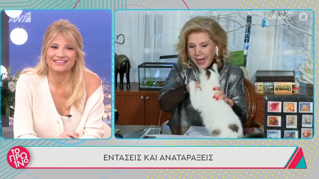 Επικό: Δάγκωσε on air τη Λίτσα Πατέρα ο γάτος της!