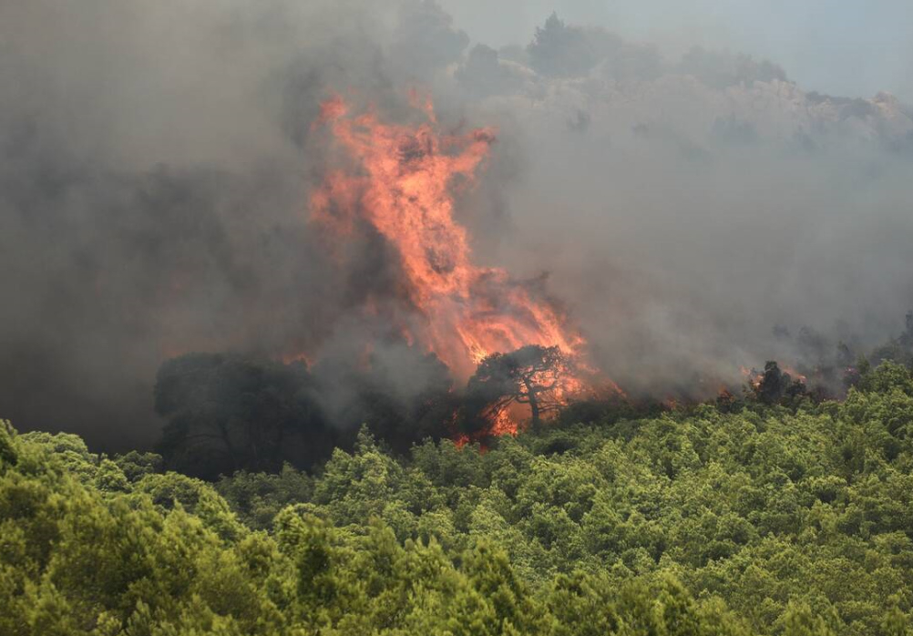 Μεγάλη φωτιά στην Κάρυστο κοντά σε υποσταθμό της ΔΕΗ