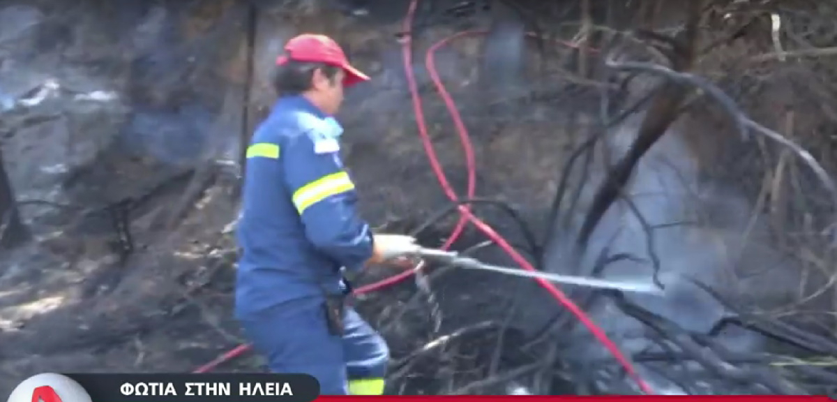 Ηλεία: Συνεχίζεται η μάχη με τις φλόγες – Μία προσαγωγή υπόπτου