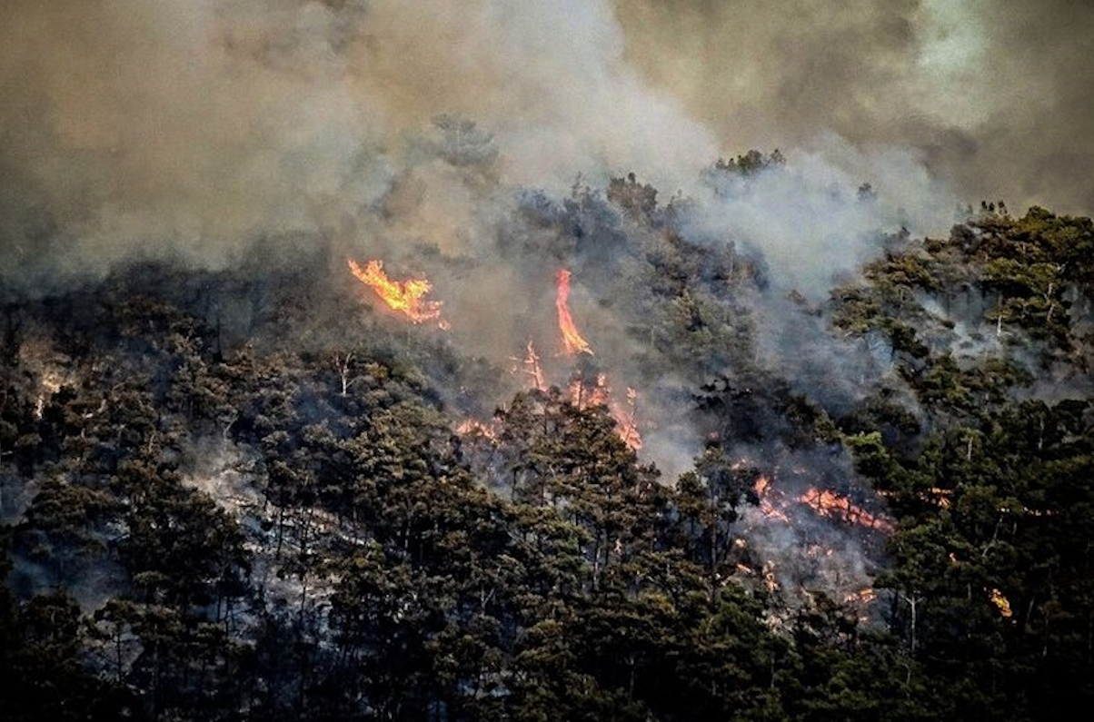 Φωτιά Πάρνηθα: Αγνοείται 77χρονος στη Χασιά