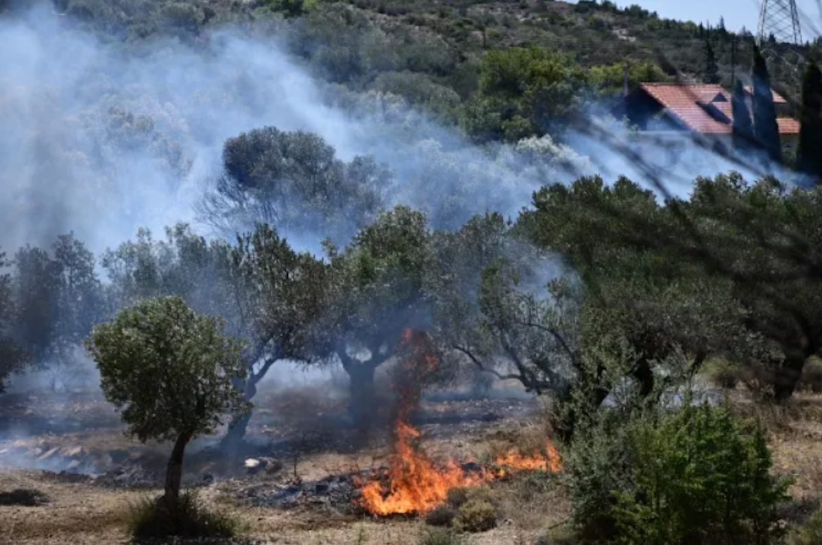 Καιρός: Πώς θα εξελιχθούν οι άνεμοι στα πύρινα μέτωπα;