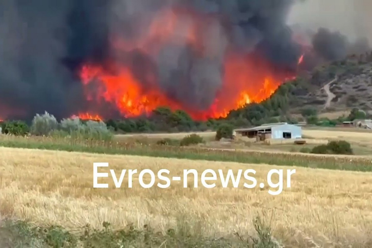 Έβρος: 13 μέτρα για την ενίσχυση των πυρόπληκτων περιοχών