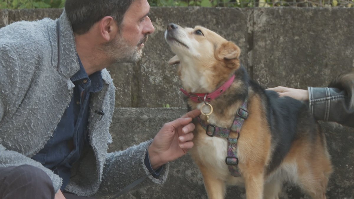 Pet Stories: Ο Λεωνίδας Κακούρης μάς συστήνει την σκυλίτσα του, Λίνα!