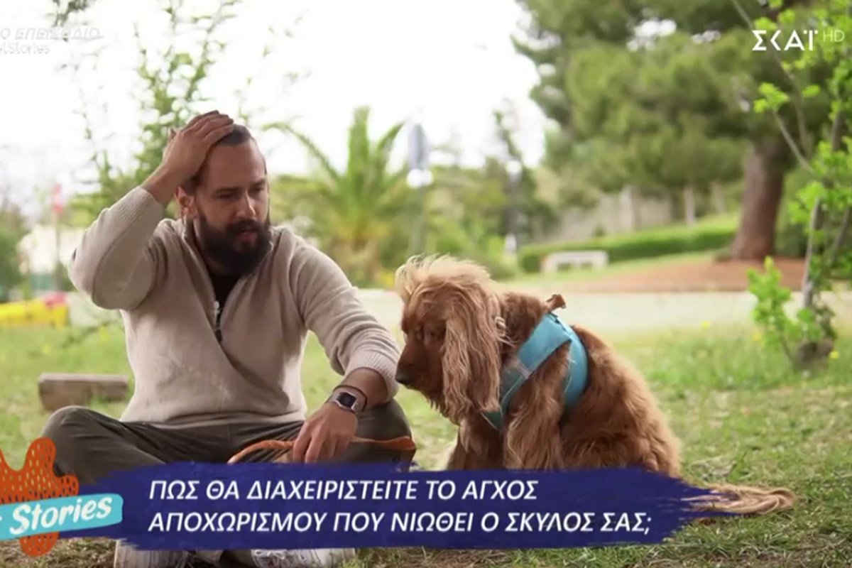 Σκύλος και άγχος αποχωρισμού: Πώς να το διαχειριστείτε;