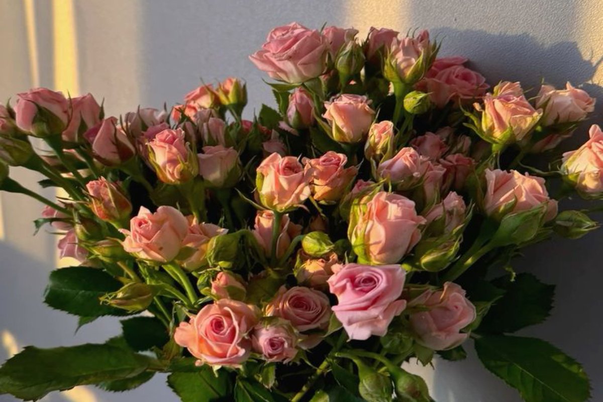 Πώς να διατηρήσεις τα κομμένα λουλούδια φρέσκα – Τα απλά tips που κάνουν τη διαφορά!