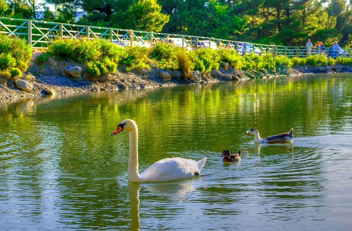 25η Μαρτίου: 5 κοντινές αποδράσεις για να φύγεις χωρίς να… «ματώσεις» στη βενζίνη