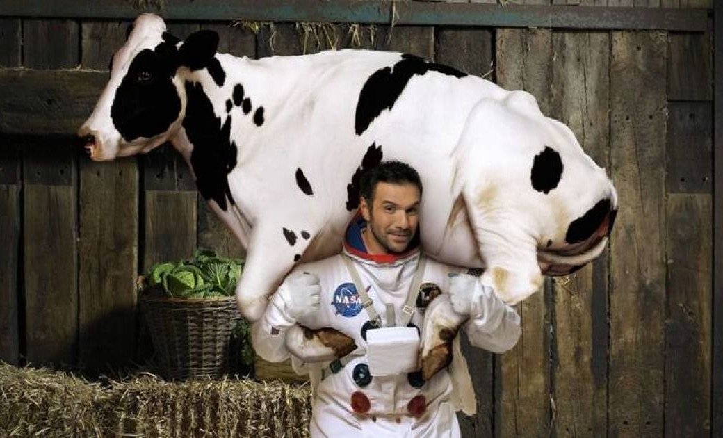 Η μέρα που η Κλάρα έκανε όλο το «Πολύ την Κυριακή» να τρέχει από πίσω της: Η πιο επική απόδραση αγελάδας στην ελληνική TV!