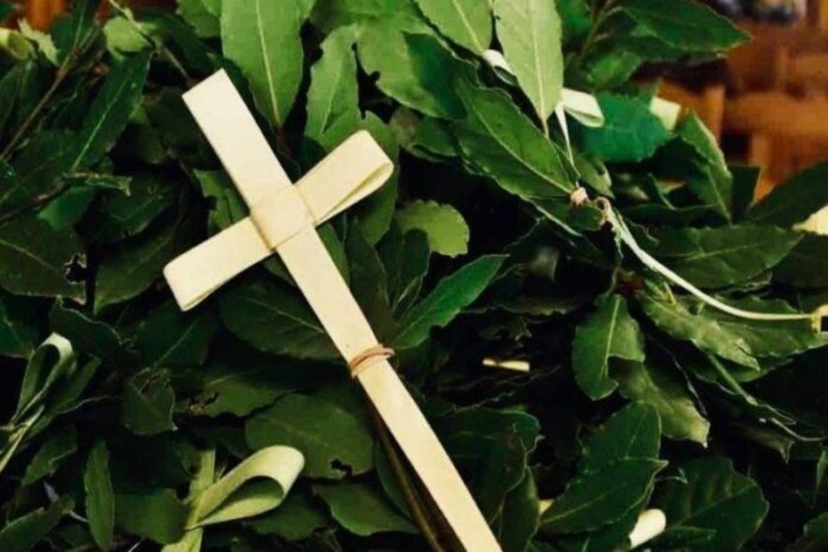 Κυριακή των Βαΐων: Γιατί τρώμε ψάρι και τι συμβολίζει η μεγάλη αυτή γιορτή;