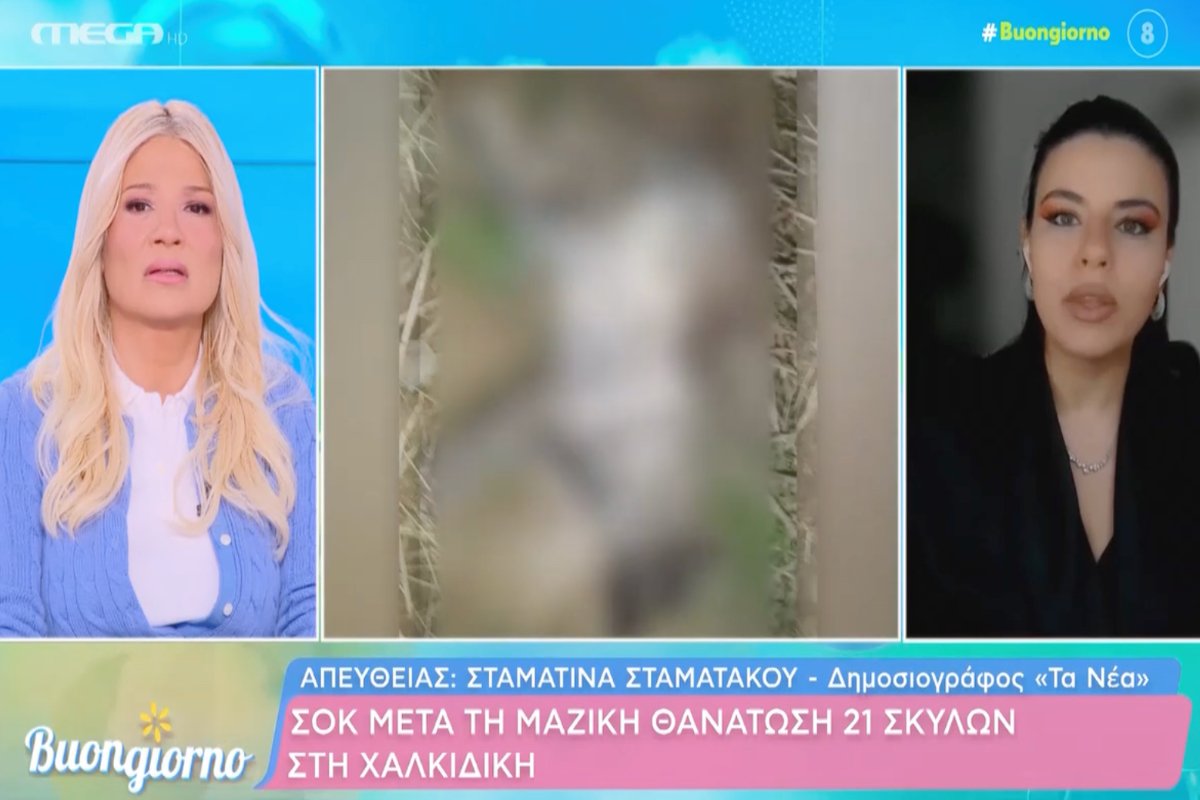 Φαίη Σκορδά: Ξέσπασε on air – «Ντροπή, ντροπή! Να βρεθεί και να τιμωρηθεί!»