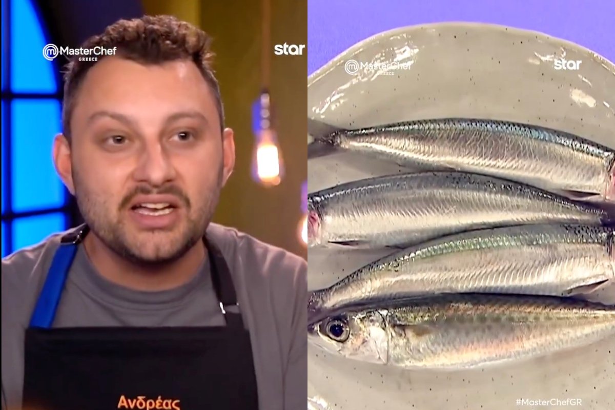 MasterChef – Χ: Ο σαρδελόγαυρος έγινε πρωταγωνιστής και το τρολάρισμα έπεσε βροχή – «Κάνανε bebe μαζί, είσαι είδωλο!»