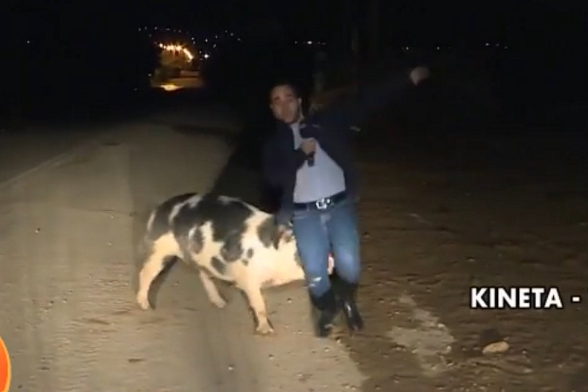 EPIC Throwback: Ακόμα τρέχει ο Λάζος Μαντικός! – Το γουρούνι που του επιτέθηκε σε ζωντανή συνδεση!