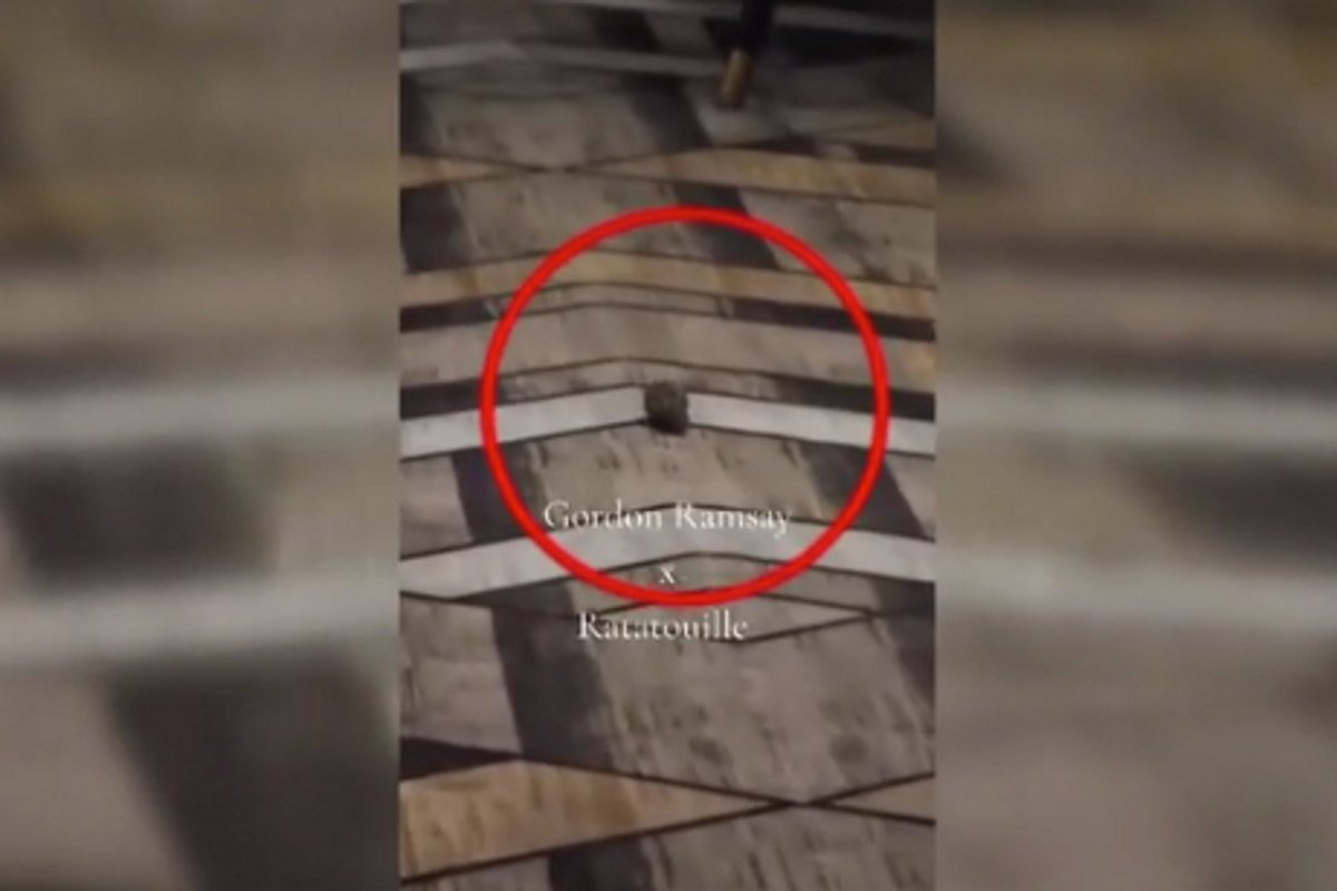 Ποντίκια σε εστιατόριο του Γκόρντον Ράμσεϊ στον Καναδά – Βίντεο κάνει τον γύρο του διαδικτύου