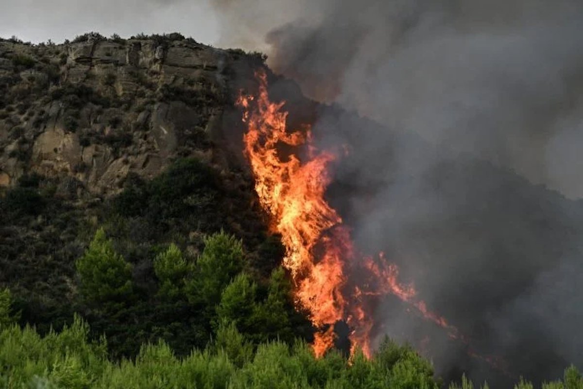 Φωτιά στον Κουβαρά: Βελτιωμένη η εικόνα – Ζημιές σε επιχειρήσεις και ισχυρές δυνάμεις στο σημείο