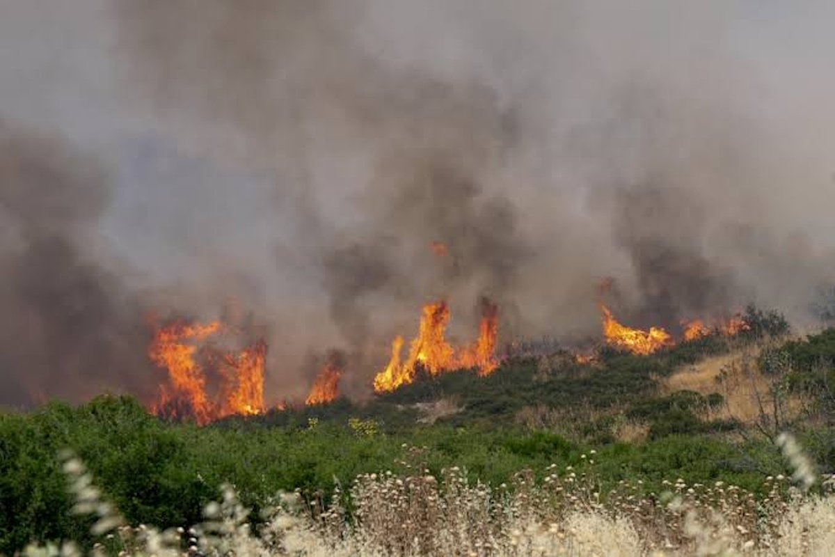 Φωτιά στο Στεφάνι Κορινθίας: Ήχησε το 112