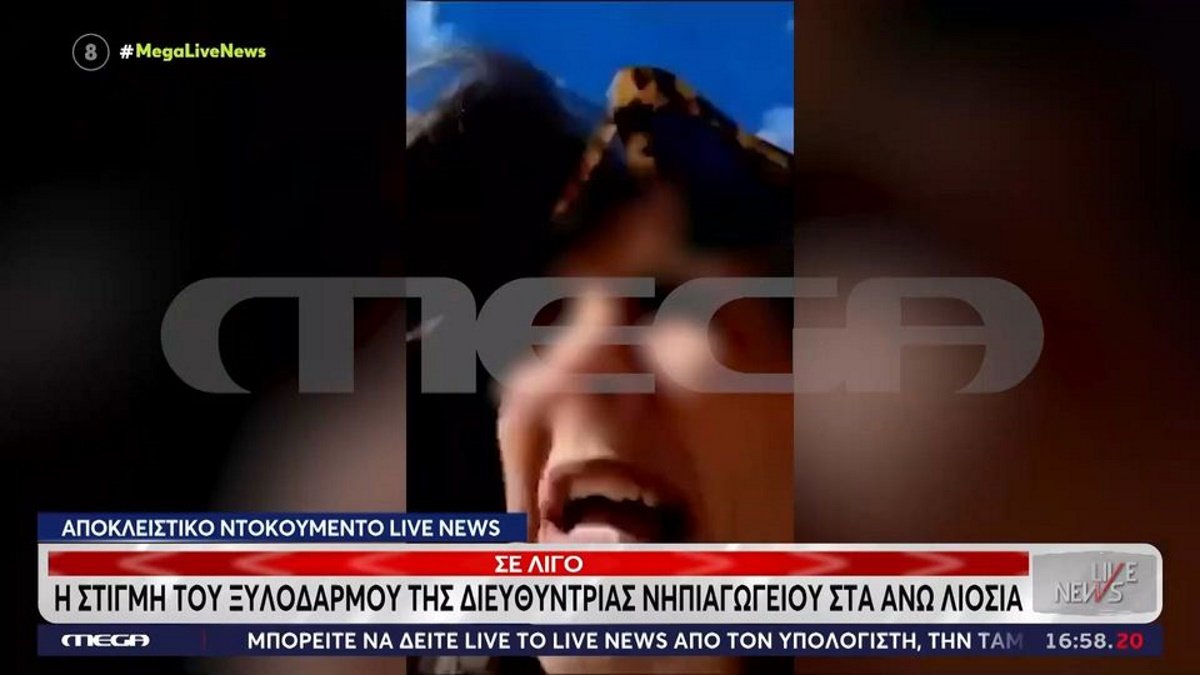 Άνω Λιόσια: Βίντεο-σοκ από την επίθεση πατέρα στη διευθύντρια – Φώναζε «βοήθεια»